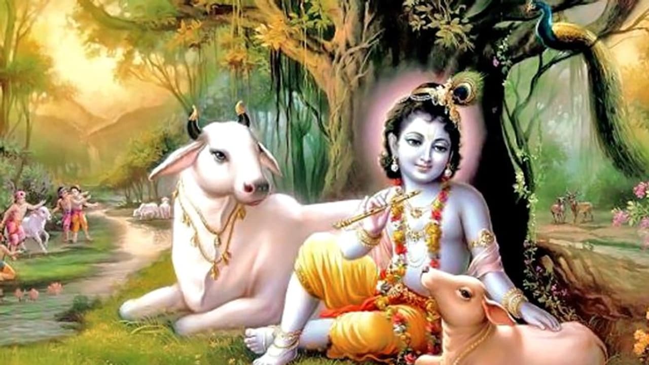 भगवान श्रीकृष्ण के 51 नाम: जन्माष्टमी पर इन्हें बोलने से दूर हो सकते हैं बुरे दिन भगवान श्रीकृष्ण के 51 नाम: जन्माष्टमी पर इन्हें बोलने से दूर हो सकते हैं बुरे दिन