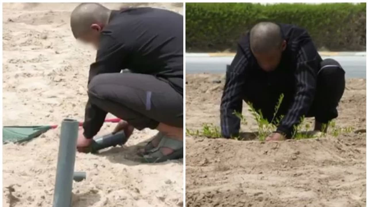 വാഹനമോടിച്ച് പൊതുമുതല് നശിപ്പിച്ച യുവാവിന് വ്യത്യസ്തമായ ശിക്ഷ നല്കി യുഎഇ പൊലീസ് വാഹനമോടിച്ച് പൊതുമുതല് നശിപ്പിച്ച യുവാവിന് വ്യത്യസ്തമായ ശിക്ഷ നല്കി യുഎഇ പൊലീസ്