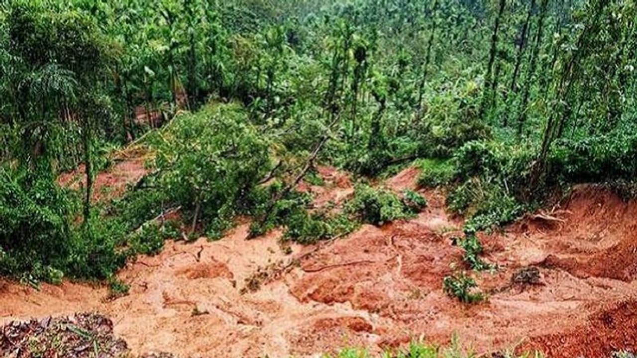 ಸಾಲಗಾರರಾದ ರೈತರು : ವಿಪತ್ತು ಘೋಷಣೆಗೆ ಆಗ್ರಹ ಸಾಲಗಾರರಾದ ರೈತರು : ವಿಪತ್ತು ಘೋಷಣೆಗೆ ಆಗ್ರಹ