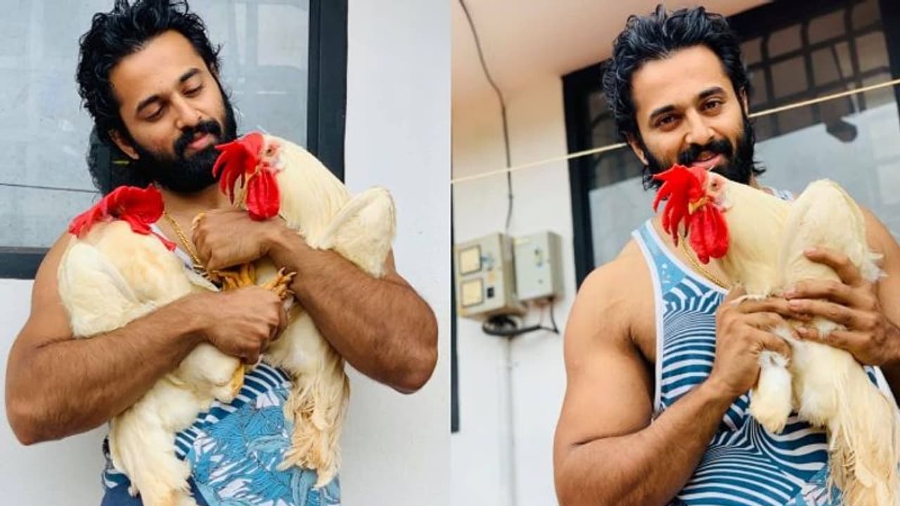 നിങ്ങളുടെ 'കോഴി' ചങ്കിനെ ടാഗ് ചെയ്യു; രസകരമായ ഫേസ് ബുക്ക് പോസ്റ്റുമായി ഉണ്ണി മുകന്ദൻ