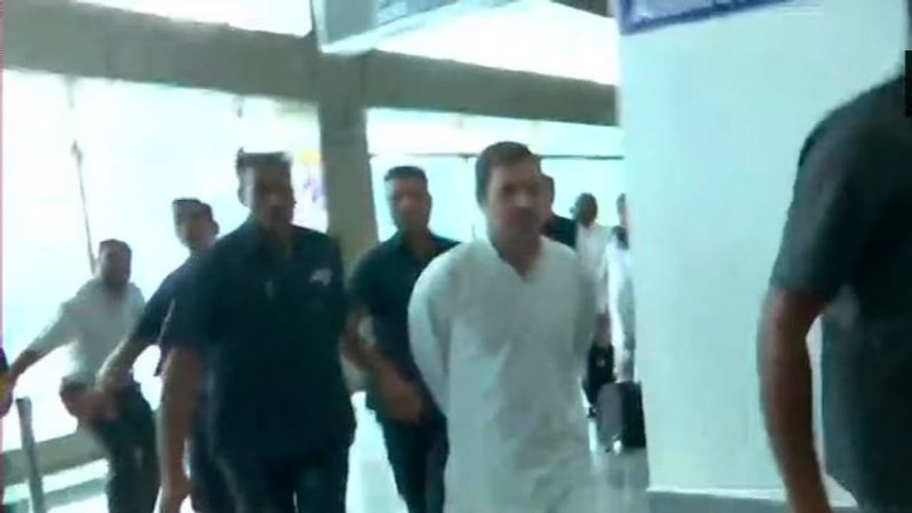 বিমানবন্দরেই বাধা, শ্রীনগর থেকে দিল্লির পরের বিমানেই তুলে দেওয়া হচ্ছে রাহুলদের বিমানবন্দরেই বাধা, শ্রীনগর থেকে দিল্লির পরের বিমানেই তুলে দেওয়া হচ্ছে রাহুলদের