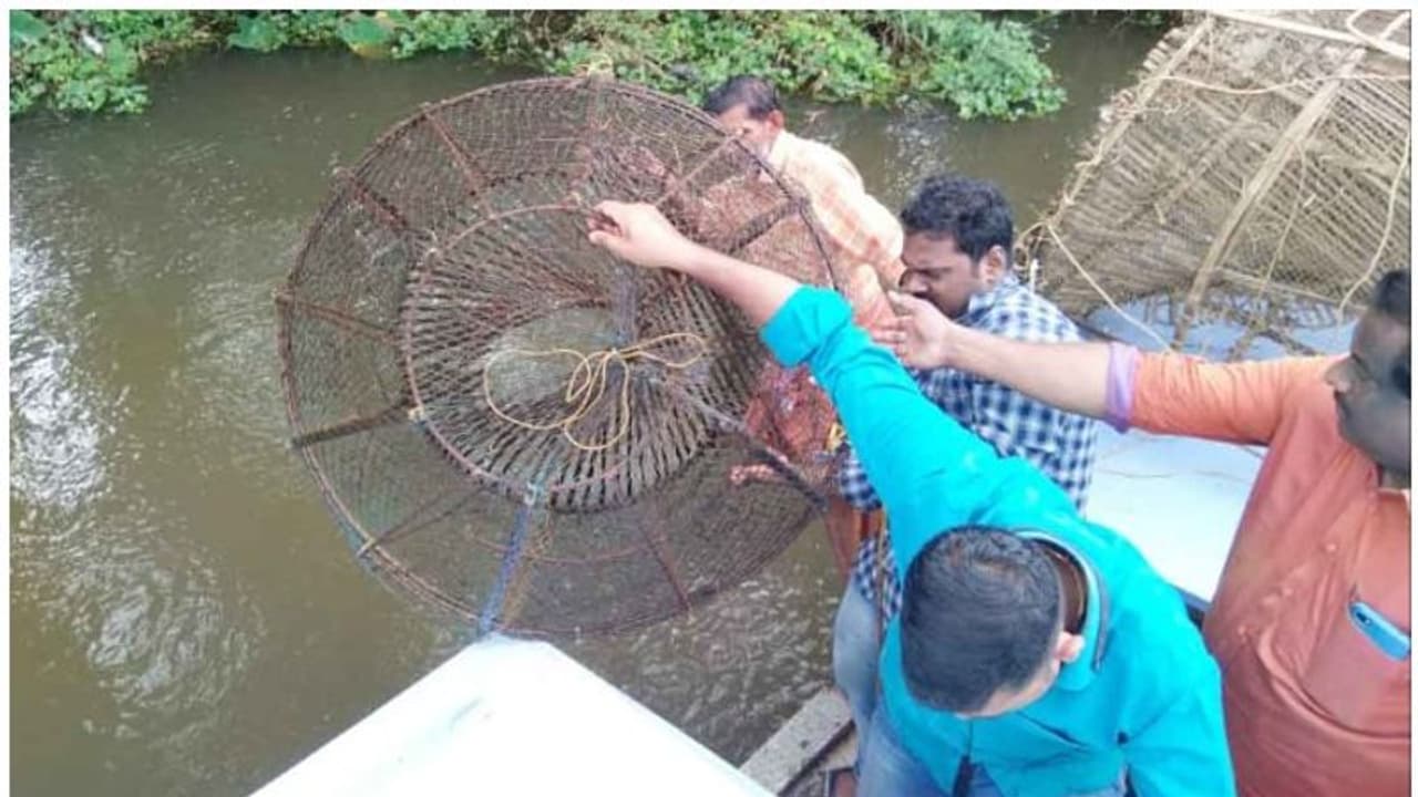 അനധികൃത മത്സ്യബന്ധനം; ഉള്നാടന് ജലാശയങ്ങളില് റെയ്ഡ് അനധികൃത മത്സ്യബന്ധനം; ഉള്നാടന് ജലാശയങ്ങളില് റെയ്ഡ്