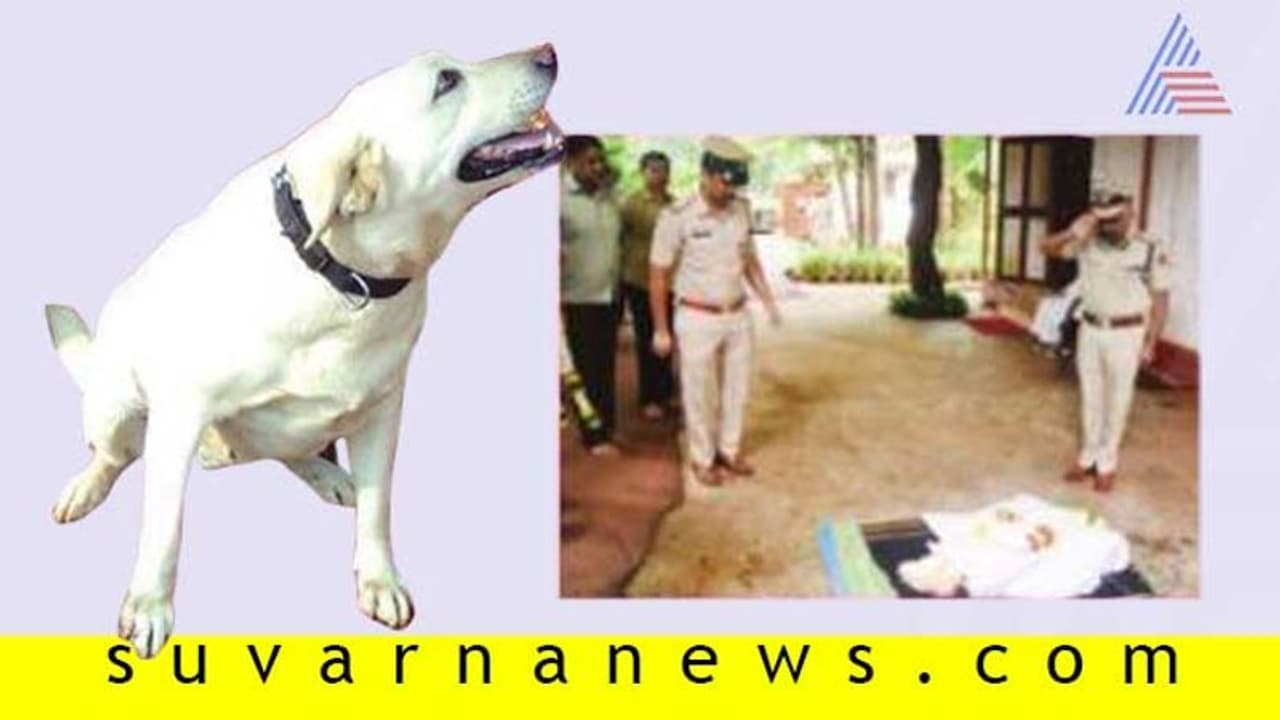 ಸ್ಫೋಟಕ ಪತ್ತೆದಾರಿ ನೈನಾ ಇನ್ನು ನೆನಪು ಮಾತ್ರ, ಭಾವುಕರಾದ ಸಿಬ್ಬಂದಿ ಸ್ಫೋಟಕ ಪತ್ತೆದಾರಿ ನೈನಾ ಇನ್ನು ನೆನಪು ಮಾತ್ರ, ಭಾವುಕರಾದ ಸಿಬ್ಬಂದಿ