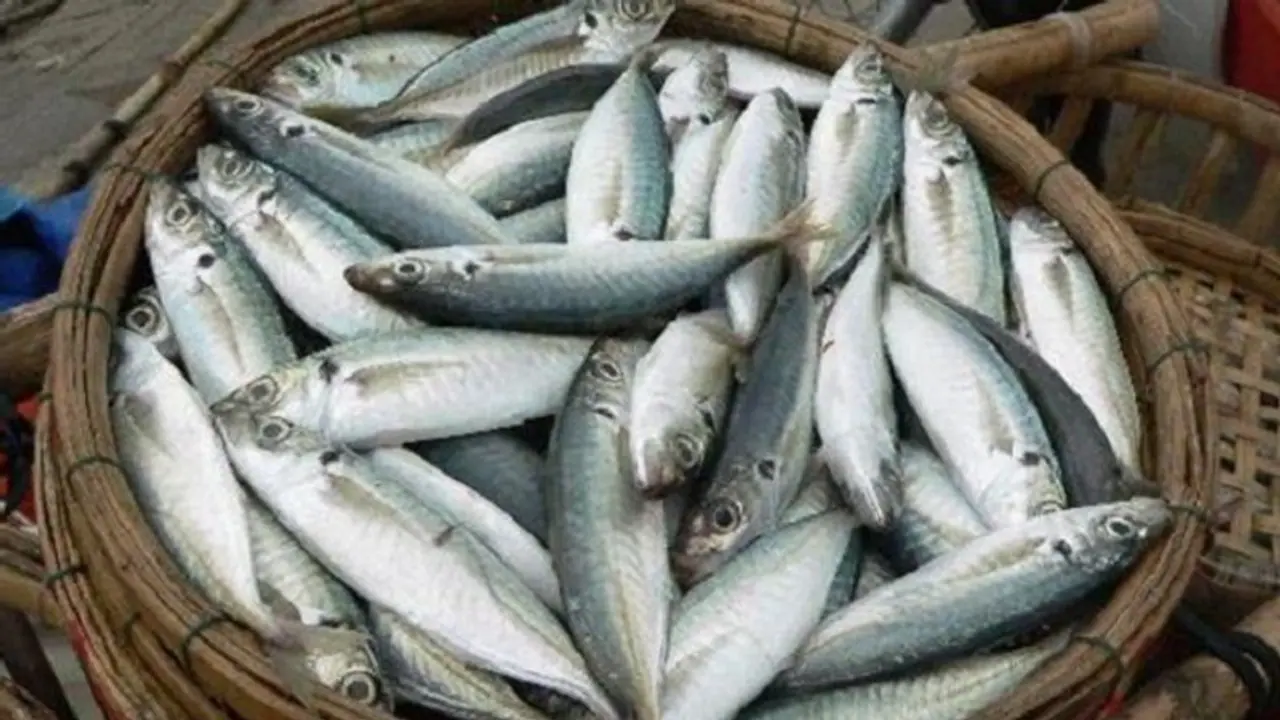 3 ಬಂಗುಡೆಗೆ ನೂರು ರೂ.; ಚಂಡಮಾರುತದ ಎಫೆಕ್ಟ್‌ಗೆ ಮೀನು ದುಬಾರಿ..!