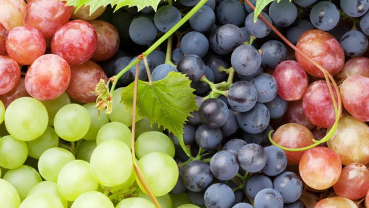 മുന്തിരി കഴിക്കുന്നത് ശീലമാക്കൂ; ഗുണങ്ങൾ ചെറുതൊന്നുമല്ല മുന്തിരി കഴിക്കുന്നത് ശീലമാക്കൂ; ഗുണങ്ങൾ ചെറുതൊന്നുമല്ല