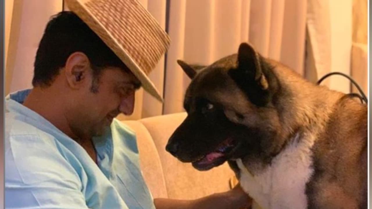 বাড়িতে পোষ্য আনার কথা ভাবছেন! পাঁচটি উপকারিতা পেতে সঙ্গে রাখতেই পারেন সারমেয় বাড়িতে পোষ্য আনার কথা ভাবছেন! পাঁচটি উপকারিতা পেতে সঙ্গে রাখতেই পারেন সারমেয়