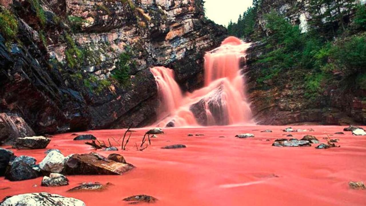 ক্যামেরনের রহস্যময় এই জলপ্রপাতের রং পরিবর্তিত হয় সময়ের সঙ্গে সঙ্গে ক্যামেরনের রহস্যময় এই জলপ্রপাতের রং পরিবর্তিত হয় সময়ের সঙ্গে সঙ্গে