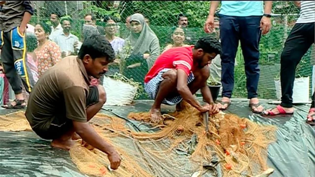 സ്നേഹ സ്പര്ശമായി 'സ്നേഹ'; മത്സ്യക്കൃഷിയുടെ ലാഭം പ്രളയബാധിതര്ക്കായി നീക്കിവച്ച് റെസിഡൻസ് കൂട്ടായ്മ സ്നേഹ സ്പര്ശമായി 'സ്നേഹ'; മത്സ്യക്കൃഷിയുടെ ലാഭം പ്രളയബാധിതര്ക്കായി നീക്കിവച്ച് റെസിഡൻസ് കൂട്ടായ്മ