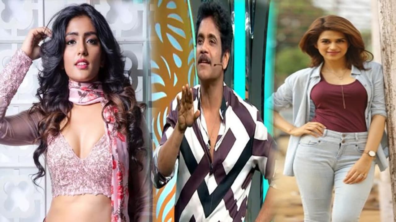 హౌస్ మేట్స్ కి షాకిచ్చేలా వైల్డ్ కార్డ్ ఎంట్రీ.. ఆ ఇద్దరిలో ఎవరు! హౌస్ మేట్స్ కి షాకిచ్చేలా వైల్డ్ కార్డ్ ఎంట్రీ.. ఆ ఇద్దరిలో ఎవరు!