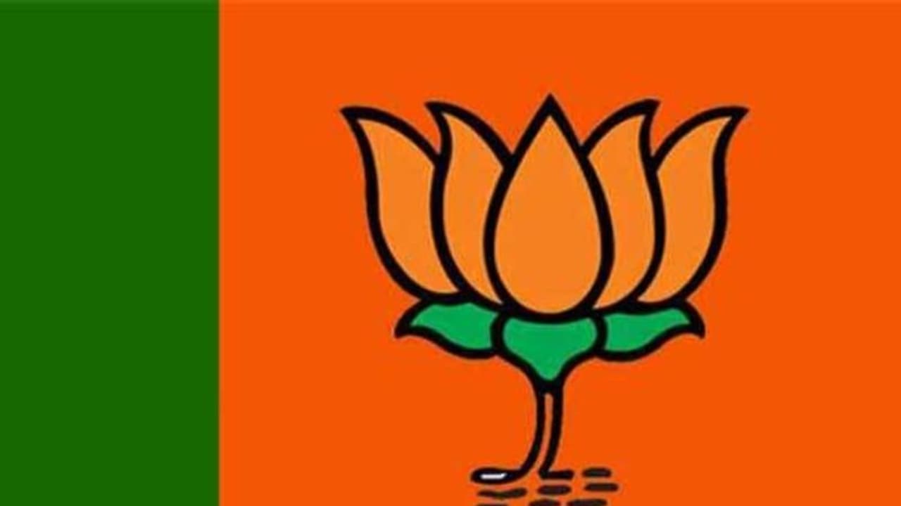 നിലമ്പൂരിൽ മത്സരിക്കണോ വേണ്ടയോ, ബിജെപിയിൽ ആശയക്കുഴപ്പം; ദേശീയ നേതൃത്വവുമായി ആലോചിച്ച ശേഷം അന്തിമ തീരുമാനം 