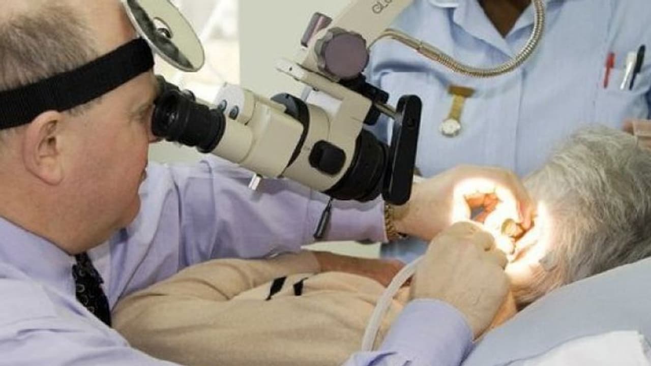 महिला के कान से आ रही थी अजीबोगरीब आवाज, अंदर था जहरीला जीव महिला के कान से आ रही थी अजीबोगरीब आवाज, अंदर था जहरीला जीव