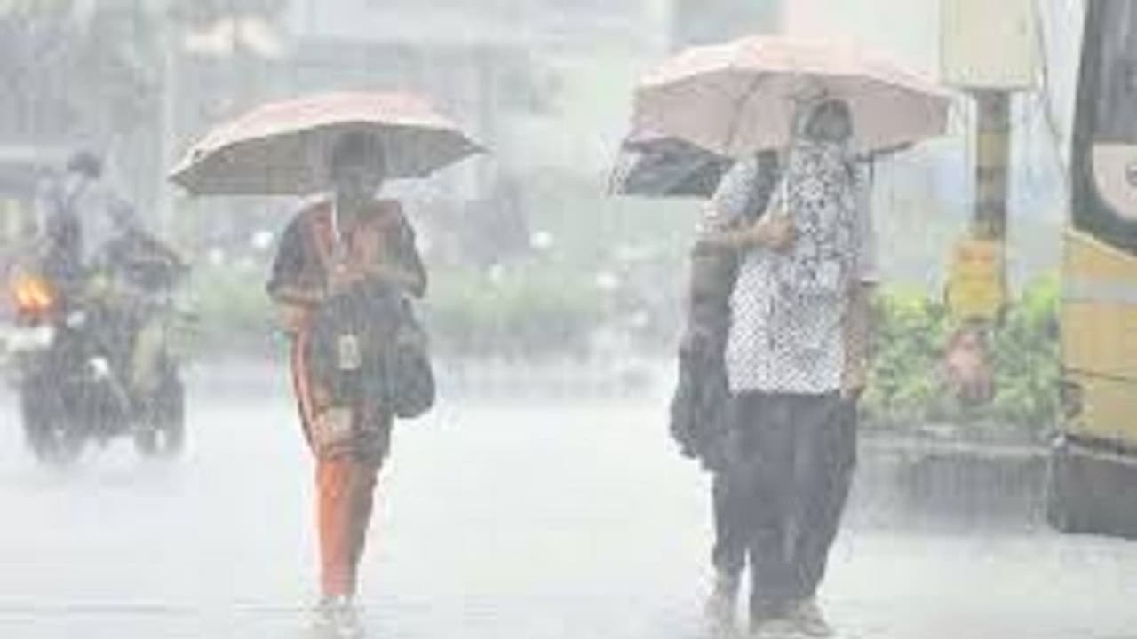 ഈ മൺസൂണിൽ കാലത്ത് കേരളത്തില് 14 ശതമാനം അധികമഴ ഈ മൺസൂണിൽ കാലത്ത് കേരളത്തില് 14 ശതമാനം അധികമഴ