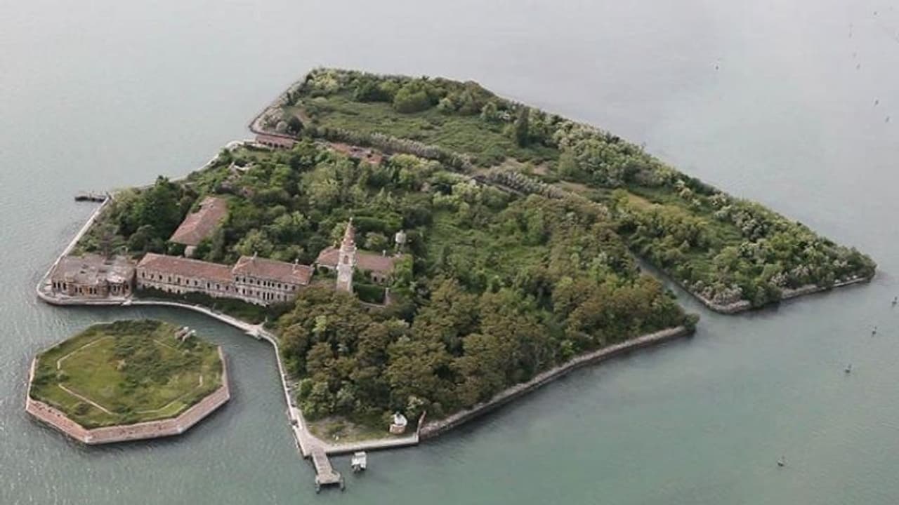 डेथ आइलैंड: जिंदा जलाए गए थे 1.6 लाख लोग डेथ आइलैंड: जिंदा जलाए गए थे 1.6 लाख लोग