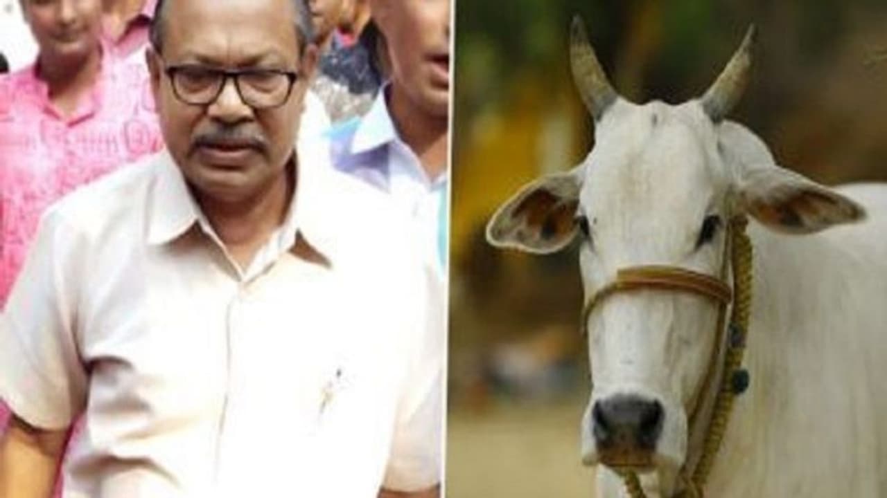 వేణువు ఊదితే ఆవులు పాలు ఎక్కువ ఇస్తాయి.. బీజేపీ ఎమ్మెల్యే వేణువు ఊదితే ఆవులు పాలు ఎక్కువ ఇస్తాయి.. బీజేపీ ఎమ్మెల్యే