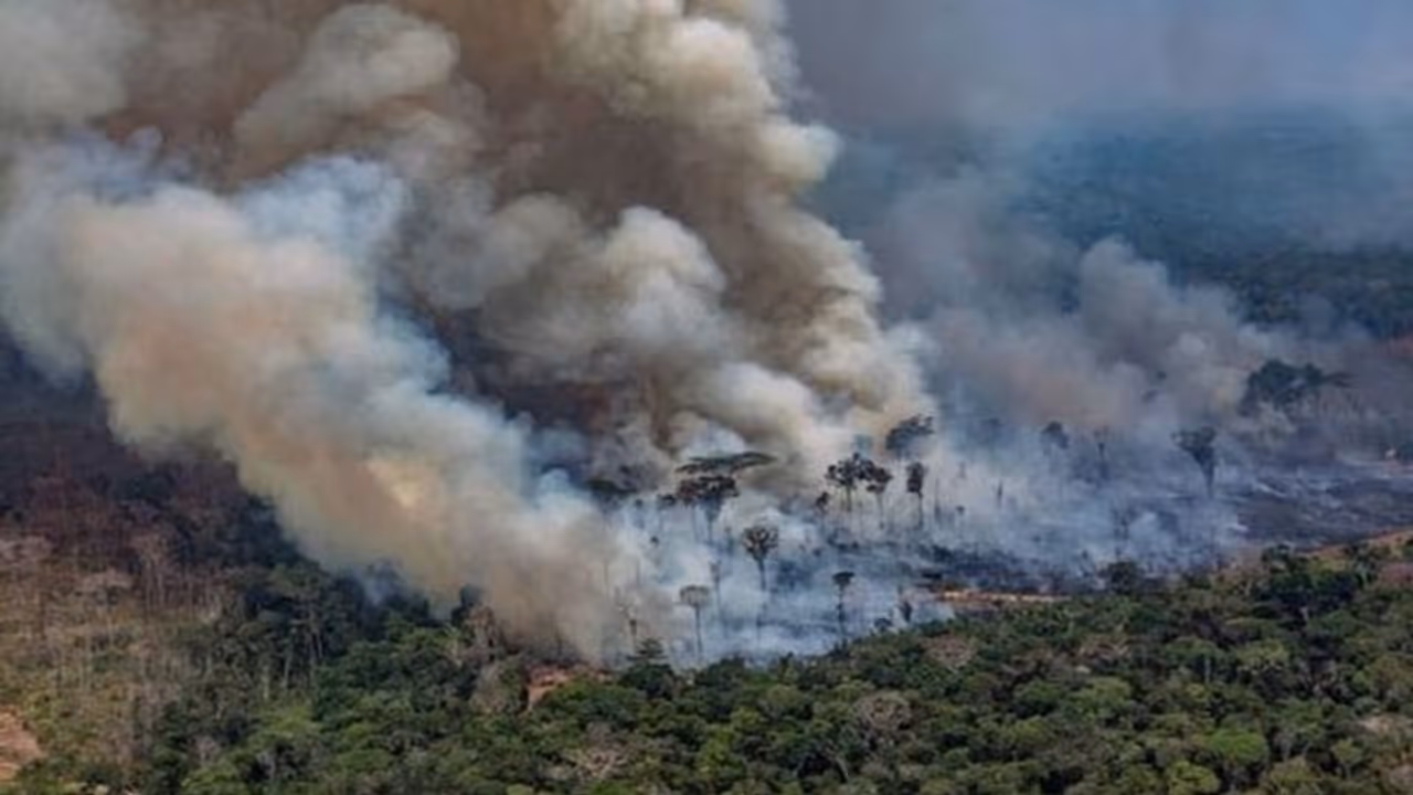 Amazon rainforest fire: Lingering smoke causes respiratory illnesses among Brazilians