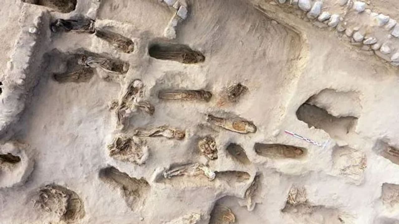 കണ്ടെടുത്തത്, ബലിയര്പ്പിക്കപ്പെട്ട 227 കുട്ടികളുടെ ശരീരാവശിഷ്ടങ്ങള്; ചരിത്രത്തിലെ തന്നെ ഏറ്റവും വലിയ ബാലബലിയെന്ന് ഗവേഷകര് കണ്ടെടുത്തത്, ബലിയര്പ്പിക്കപ്പെട്ട 227 കുട്ടികളുടെ ശരീരാവശിഷ്ടങ്ങള്; ചരിത്രത്തിലെ തന്നെ ഏറ്റവും വലിയ ബാലബലിയെന്ന് ഗവേഷകര്