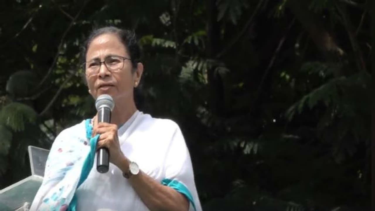 'ভাইকে ডেকেছে, এর পর আমায় ডাকবে', আশঙ্কা প্রকাশ করে চ্যালেঞ্জ মমতার