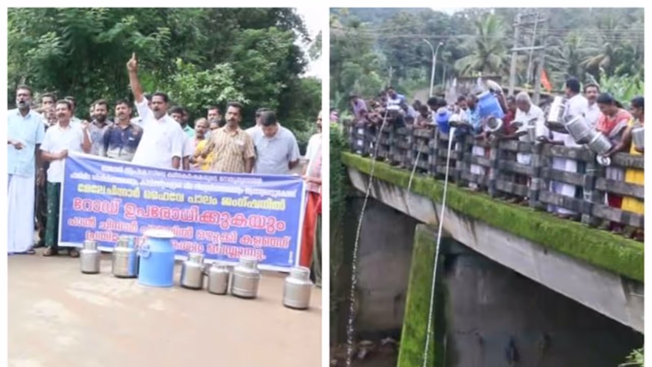 പാലിന് വില കിട്ടുന്നില്ല; പാൽ പുഴയിൽ ഒഴുക്കി പ്രതിഷേധിച്ച് കർഷകർ