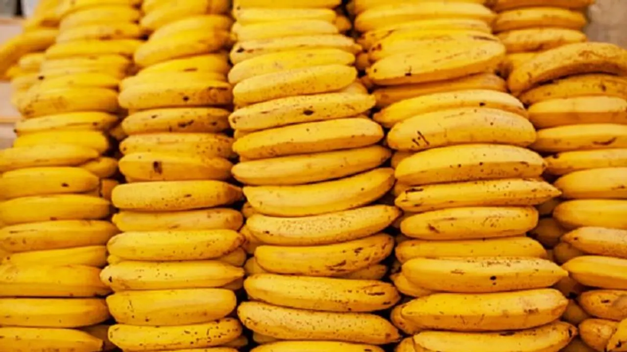 Here’s why bananas are banned at this Lucknow railway station