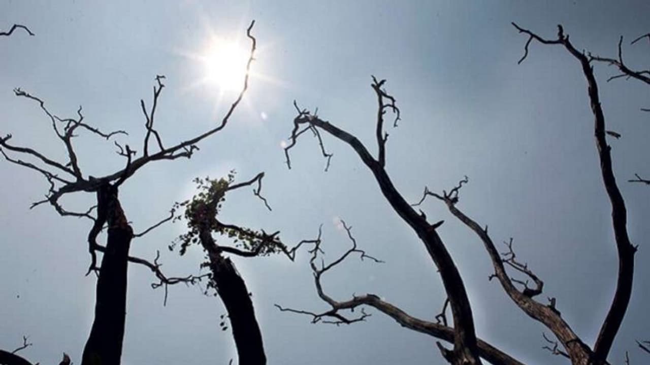 ಮಂಗಳೂರು: ಶುಷ್ಕ ವಾತಾವರಣ, ಇನ್ನೂ ದುರಸ್ತಿಯಾಗಿಲ್ಲ ರೈಲು ಹಳಿ ಮಂಗಳೂರು: ಶುಷ್ಕ ವಾತಾವರಣ, ಇನ್ನೂ ದುರಸ್ತಿಯಾಗಿಲ್ಲ ರೈಲು ಹಳಿ