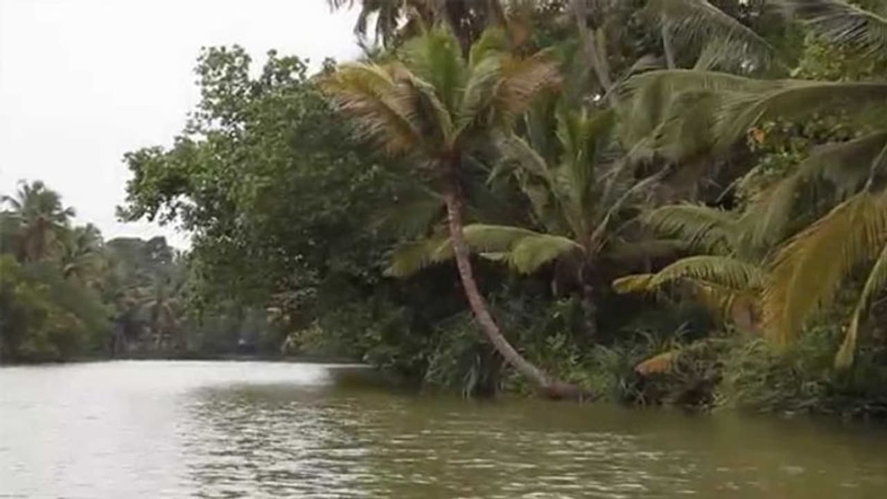 కడప జిల్లాలో విషాదం: వాగులో కొట్టుకుపోయిన ఆరుగురు కడప జిల్లాలో విషాదం: వాగులో కొట్టుకుపోయిన ఆరుగురు