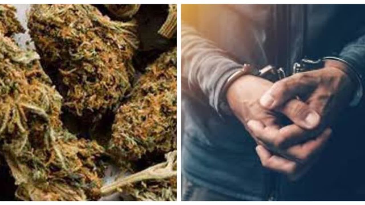 റിമാൻഡ് പ്രതികൾക്ക് കഞ്ചാവ് കൈമാറാൻ ശ്രമം; ഒരാൾ പിടിയിൽ റിമാൻഡ് പ്രതികൾക്ക് കഞ്ചാവ് കൈമാറാൻ ശ്രമം; ഒരാൾ പിടിയിൽ