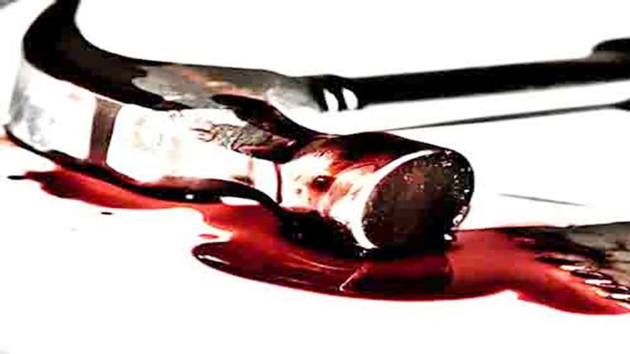 बीवी को मार इंजीनियर ने किया सुसाइड, नोट में लिखा उसे बहुत चाहता था लेकिन नहीं देखा गया उसका दर्द बीवी को मार इंजीनियर ने किया सुसाइड, नोट में लिखा उसे बहुत चाहता था लेकिन नहीं देखा गया उसका दर्द