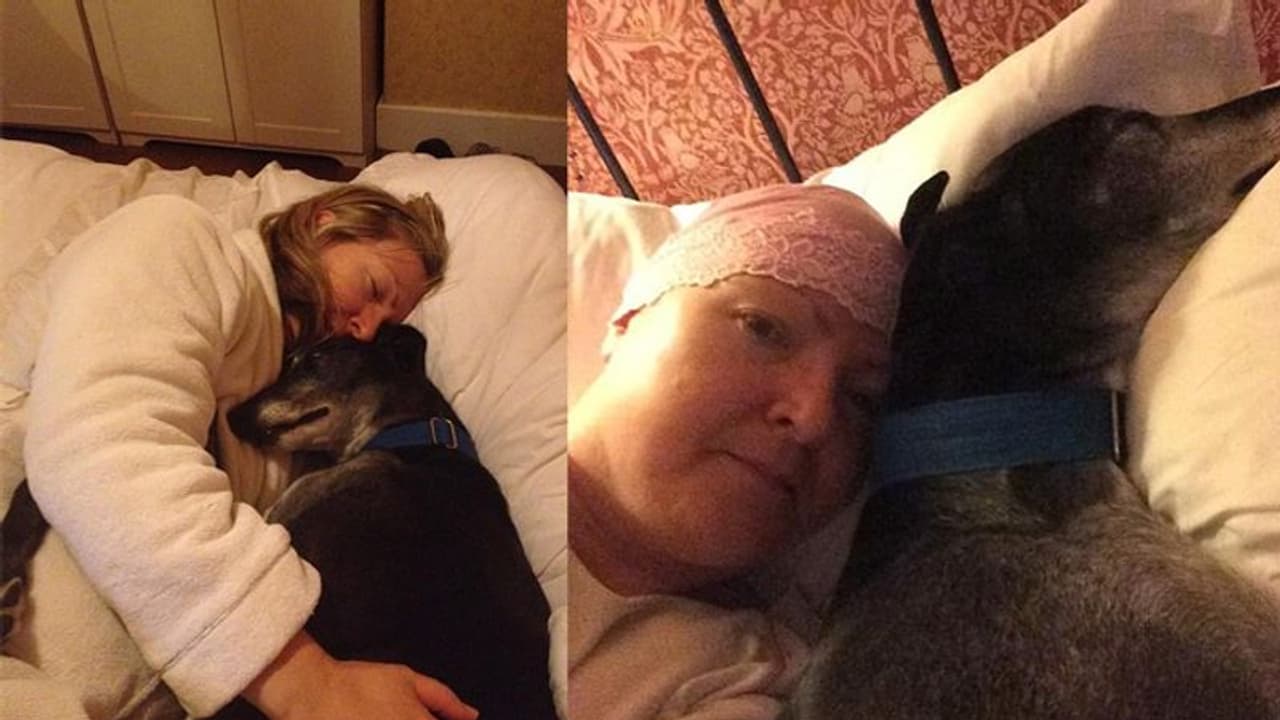 महिला की छाती सूंघता रहता था कुत्ता, इस भयंकर बीमारी की तरफ कर रहा था इशारा महिला की छाती सूंघता रहता था कुत्ता, इस भयंकर बीमारी की तरफ कर रहा था इशारा