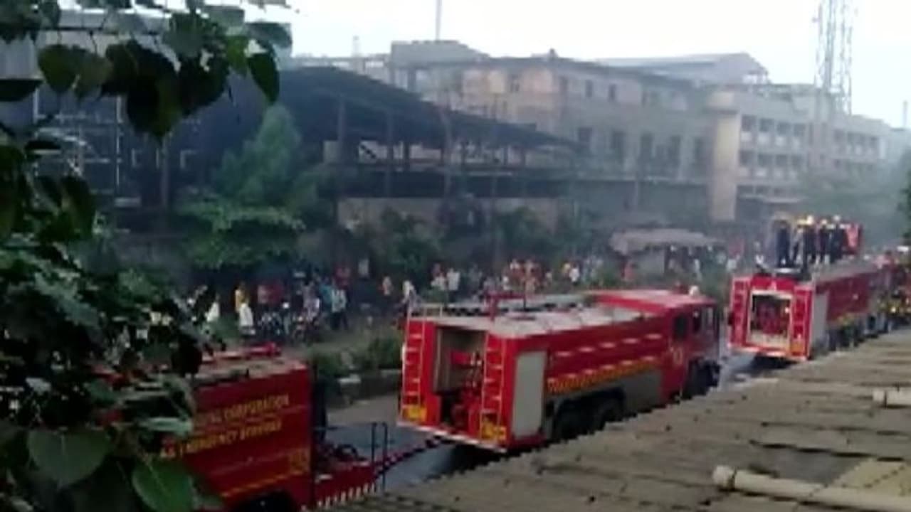 టపాసుల ఫ్యాక్టరీలో పేలుడు: 15 మంది మృతి, అగ్నికీలల్లో 50 మంది