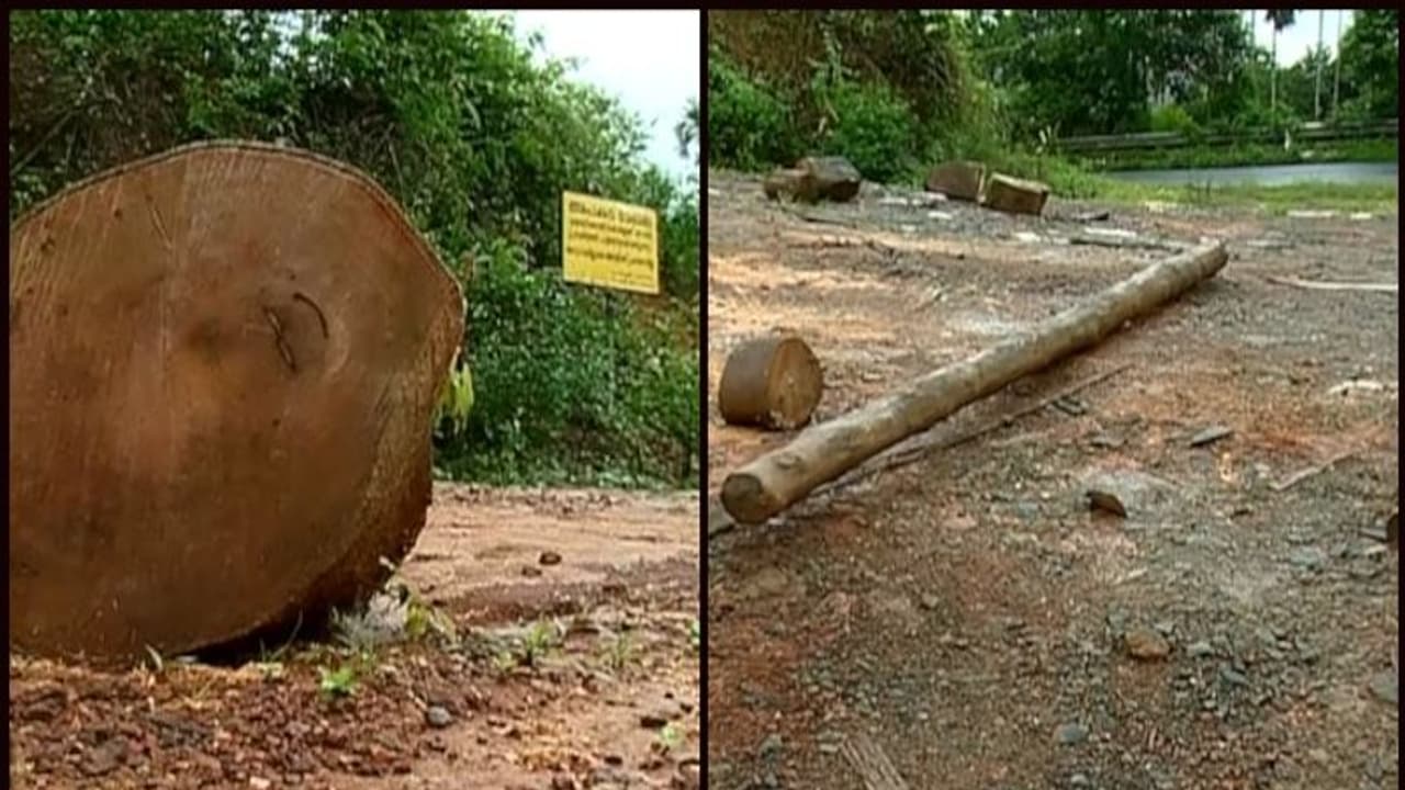 വയനാട് മെഡിക്കല് കോളേജ് യാഥാർത്ഥ്യത്തിലേക്ക്; വിവാദവും കൊഴുക്കുന്നു വയനാട് മെഡിക്കല് കോളേജ് യാഥാർത്ഥ്യത്തിലേക്ക്; വിവാദവും കൊഴുക്കുന്നു