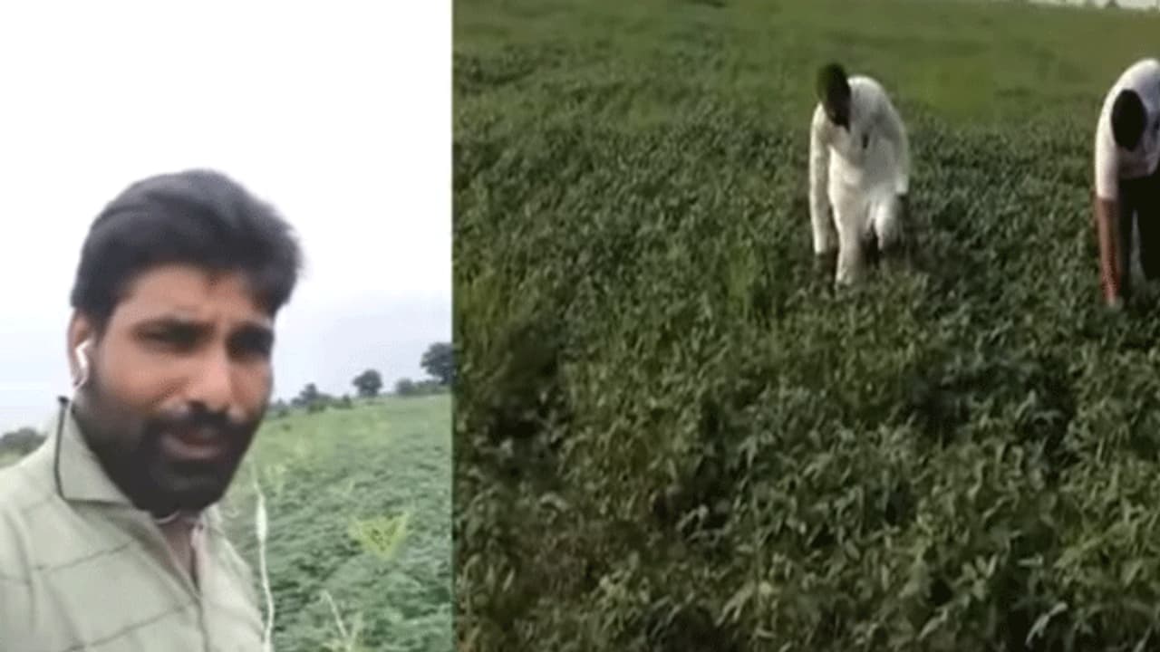 किसान ने अनोखे अंदाज में बयां किया अपना दर्द, CM कमलनाथ से लगाई मदद की गुहार किसान ने अनोखे अंदाज में बयां किया अपना दर्द, CM कमलनाथ से लगाई मदद की गुहार