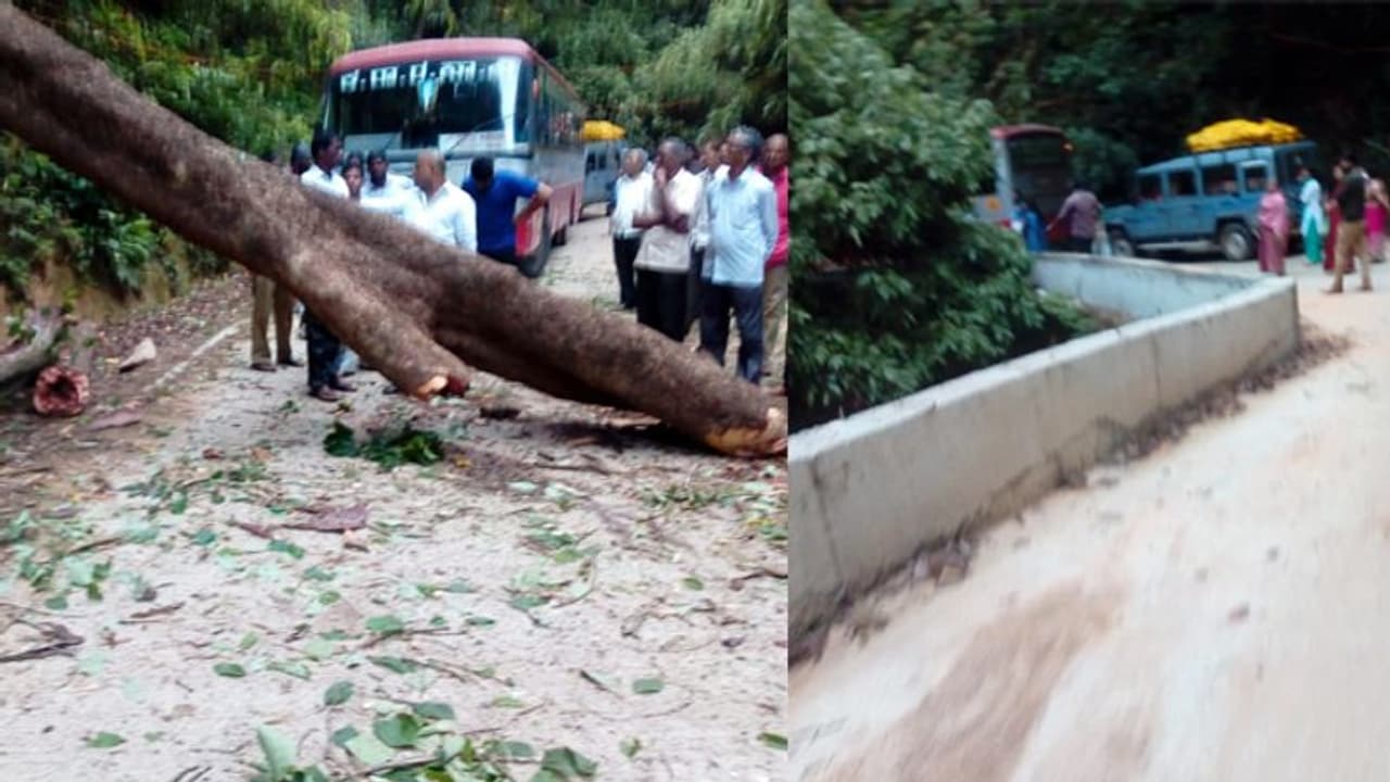 ಹಾಸನದಲ್ಲಿ ವರುಣನ ಆರ್ಭಟ : ಬಿಸಿಲೆ ಘಾಟ್ ಸಂಚಾರ ಬಂದ್