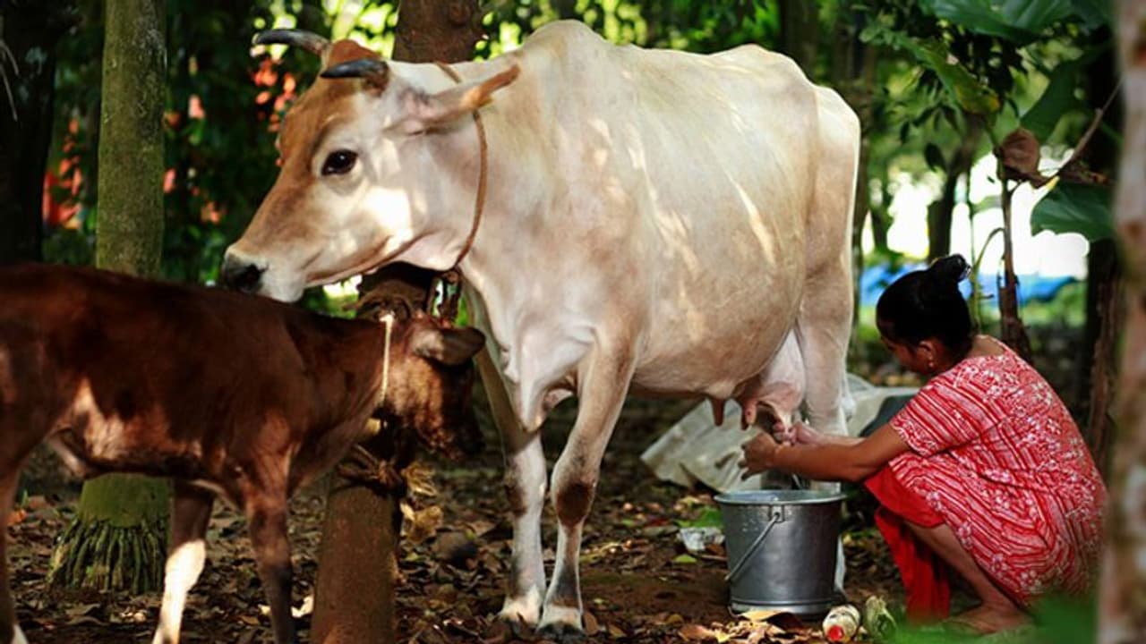 ഓണത്തിന് പാല്‍ കര്‍ണാടകയില്‍ നിന്ന്, വില കൂട്ടേണ്ടി വന്നേക്കും