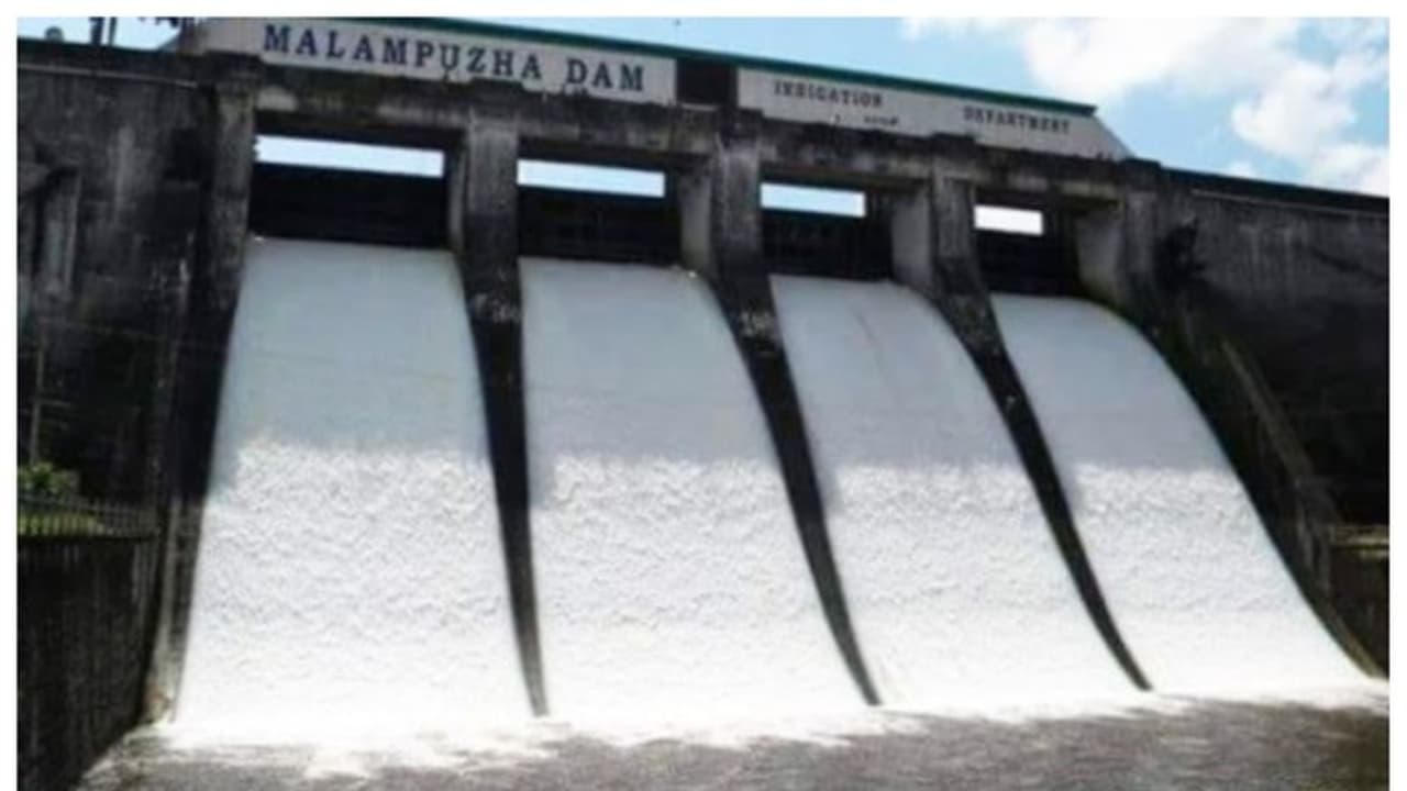 വൃഷ്ടിപ്രദേശത്ത് മഴ; മലമ്പുഴ ഡാമിന്റെ ഷട്ടറുകള് നാളെ ഉയർത്തും വൃഷ്ടിപ്രദേശത്ത് മഴ; മലമ്പുഴ ഡാമിന്റെ ഷട്ടറുകള് നാളെ ഉയർത്തും