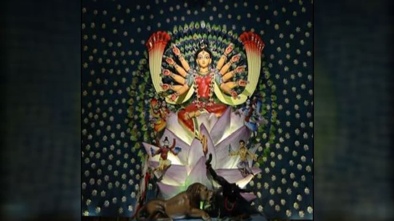 ভাবনায় জন্ম চেতনায় মৃত্য়ু, নাকতলায় থিম ঘিরে রহস্যযাপন