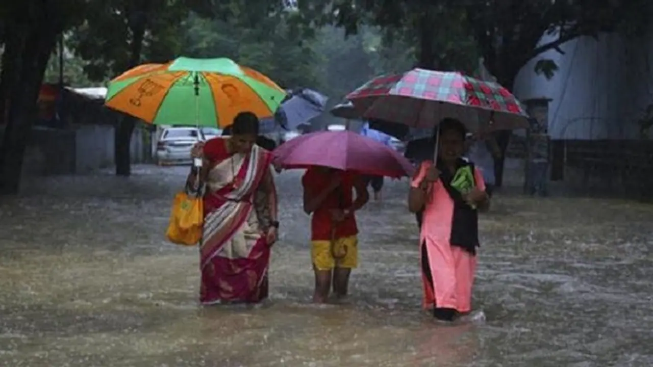 ಮಂಗಳೂರು: ಭಾರೀ ಮಳೆಯಿಂದ ಗುಡ್ಡದಲ್ಲಿ ನೀರಿನ ಬುಗ್ಗೆ ಉದ್ಭವ..! ಮಂಗಳೂರು: ಭಾರೀ ಮಳೆಯಿಂದ ಗುಡ್ಡದಲ್ಲಿ ನೀರಿನ ಬುಗ್ಗೆ ಉದ್ಭವ..!