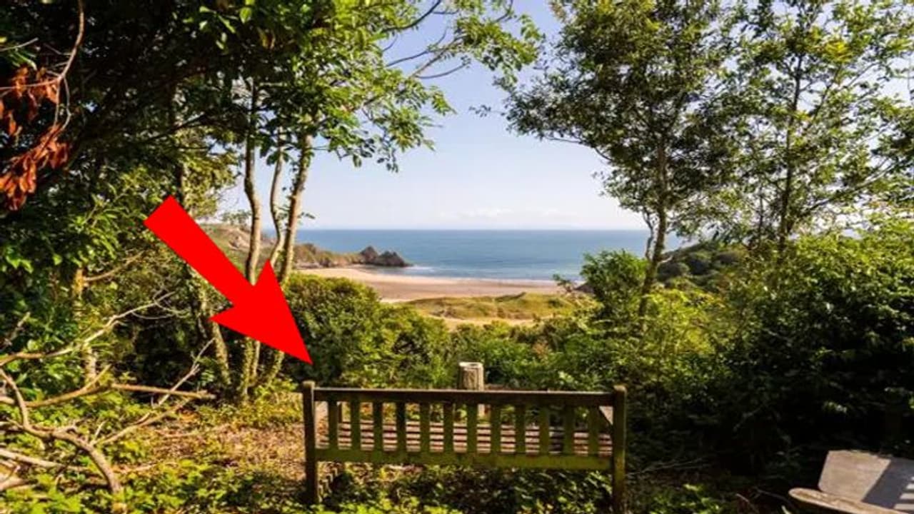 लकड़ी की इस पुरानी बेंच की कीमत है साढ़े 4 करोड़ रुपए, हैरान करने वाली है वजह लकड़ी की इस पुरानी बेंच की कीमत है साढ़े 4 करोड़ रुपए, हैरान करने वाली है वजह