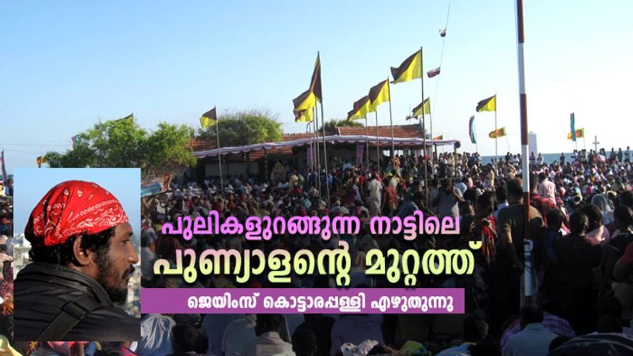 പുലികളുറങ്ങുന്ന നാട്ടിലെ പുണ്യാളന്റെ മുറ്റത്ത് പുലികളുറങ്ങുന്ന നാട്ടിലെ പുണ്യാളന്റെ മുറ്റത്ത്