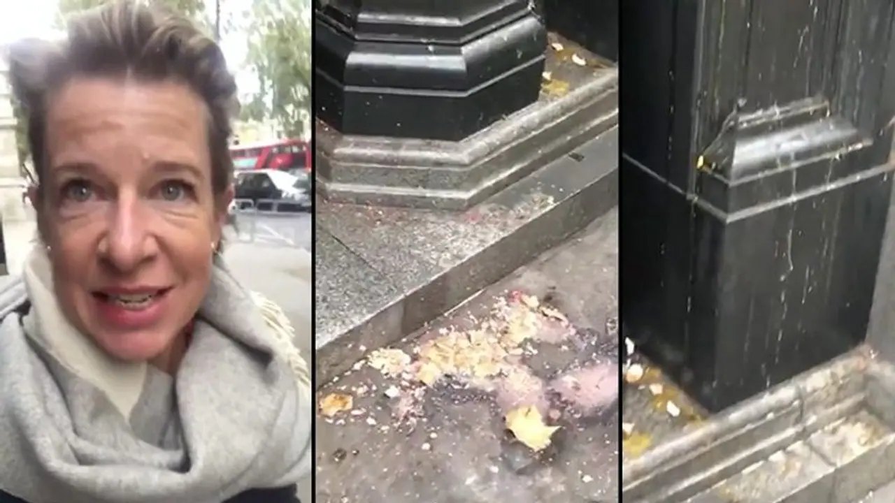 Katie Hopkins slams Pakistan origin London mayor over attack on Indian embassy