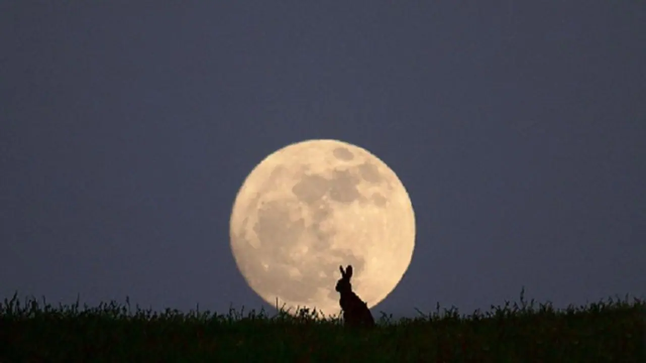 Here is the story behind moon rabbit; Chandrayaan 2 to bust more myths surrounding the satellite?