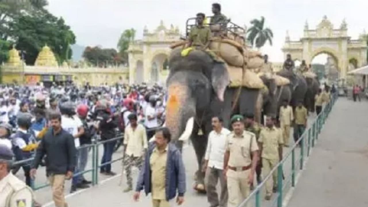 ಅರ್ಜುನನ ಮೇಲೆ ದಸರಾ ಅಂಬಾರಿ ಈ ವರ್ಷವೇ ಕಡೆ? ಅರ್ಜುನನ ಮೇಲೆ ದಸರಾ ಅಂಬಾರಿ ಈ ವರ್ಷವೇ ಕಡೆ?