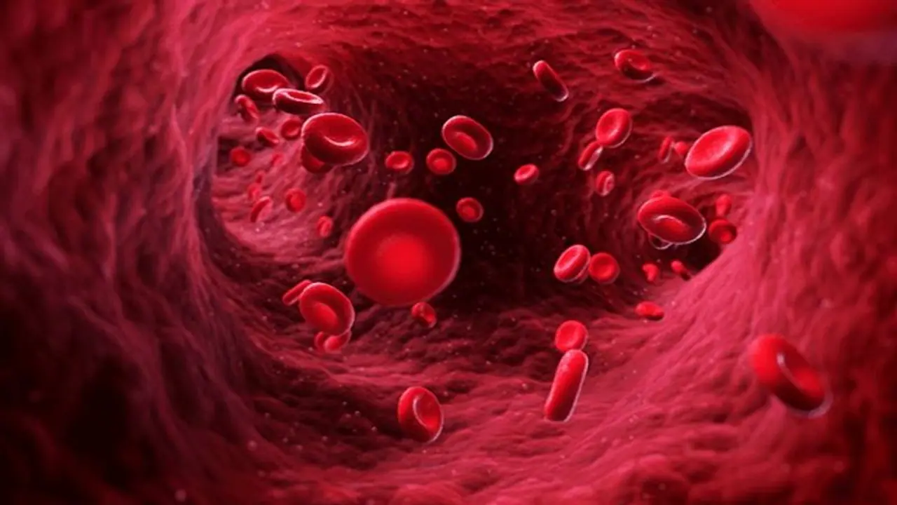 ഈ അപൂര്വ രക്തഗ്രൂപ്പ് ലോകത്ത് 43 പേര്ക്ക് മാത്രം ! ഈ അപൂര്വ രക്തഗ്രൂപ്പ് ലോകത്ത് 43 പേര്ക്ക് മാത്രം !