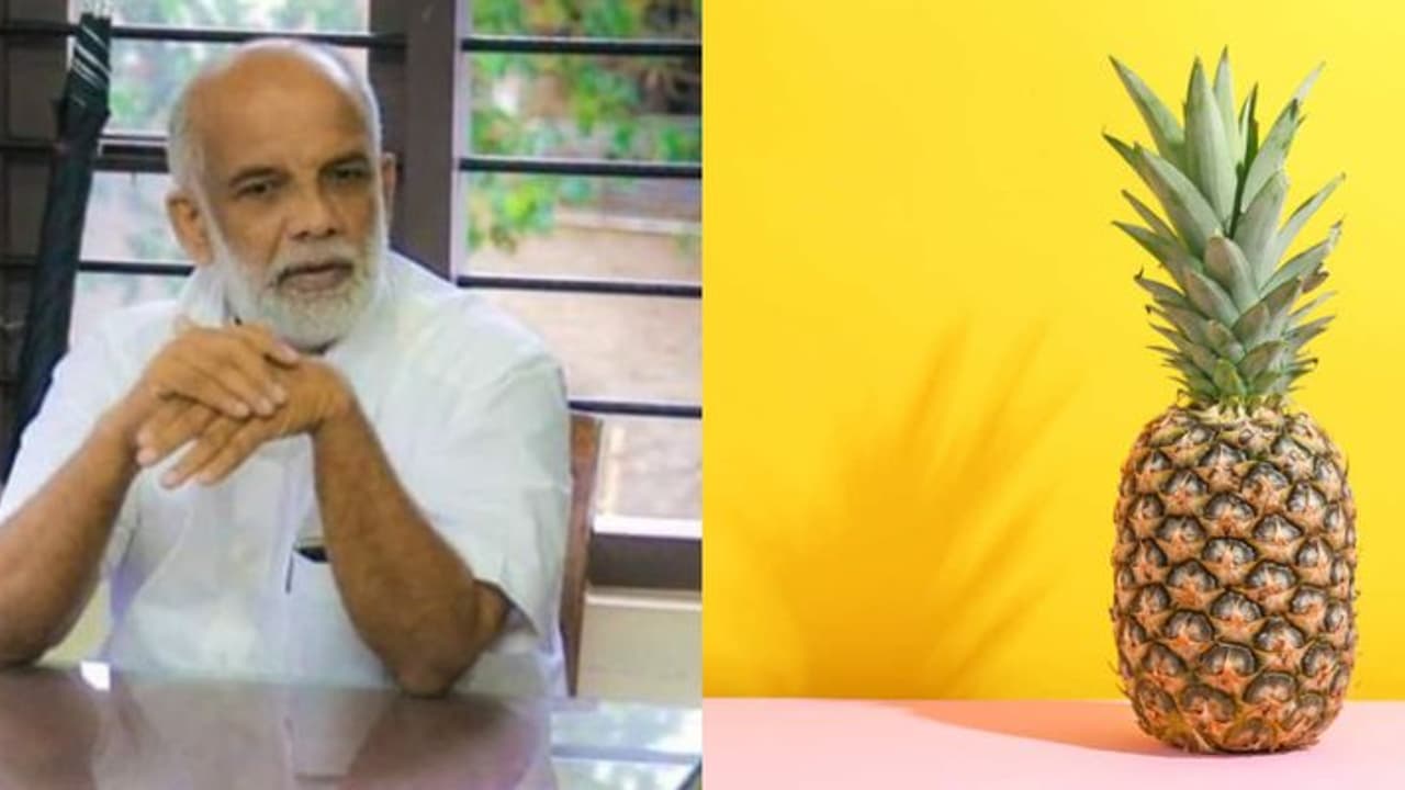 പാലാ പോര്: ജോസ് ടോമിന് ചിഹ്നം 'കൈതച്ചക്ക' പാലാ പോര്: ജോസ് ടോമിന് ചിഹ്നം 'കൈതച്ചക്ക'