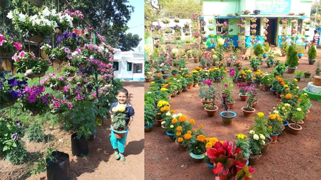 പ്ലാസ്റ്റിക് മാലിന്യം കളയേണ്ട, ഇതുപോലെ മനോഹരമാക്കാം വീടും പരിസരവും പ്ലാസ്റ്റിക് മാലിന്യം കളയേണ്ട, ഇതുപോലെ മനോഹരമാക്കാം വീടും പരിസരവും