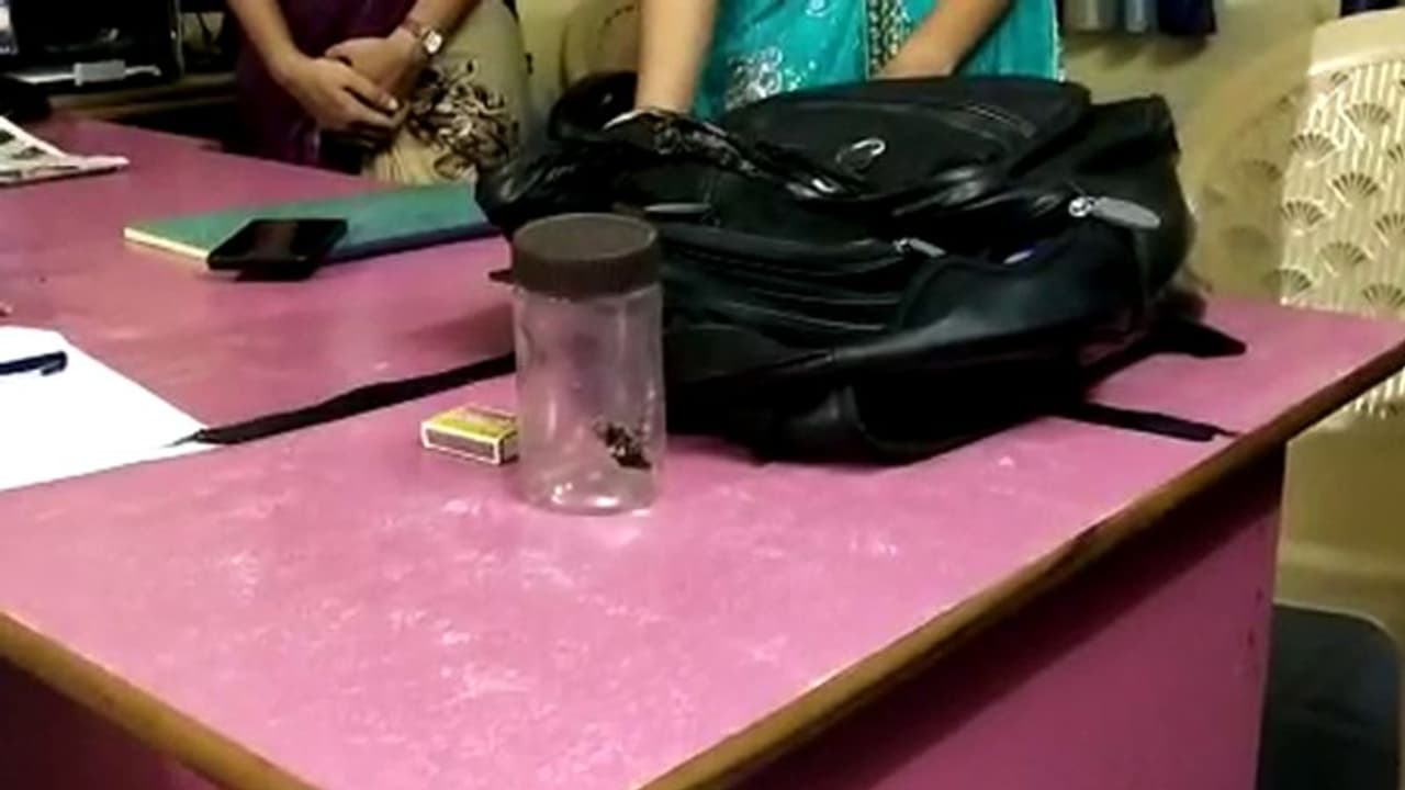 क्लास 3 की छात्रा ने स्कूल के टॉयलेट में लगाई आग, बैग में लेकर आई थी केरोसिन क्लास 3 की छात्रा ने स्कूल के टॉयलेट में लगाई आग, बैग में लेकर आई थी केरोसिन