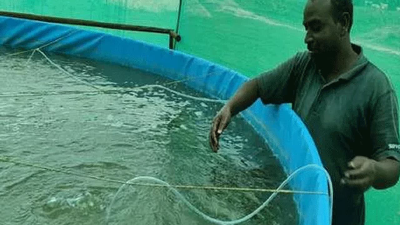 शौक शौक में लाखों रु. कमाने लगा ये शख्स, आप भी घर बैठे कर सकते हैं इतनी कमाई