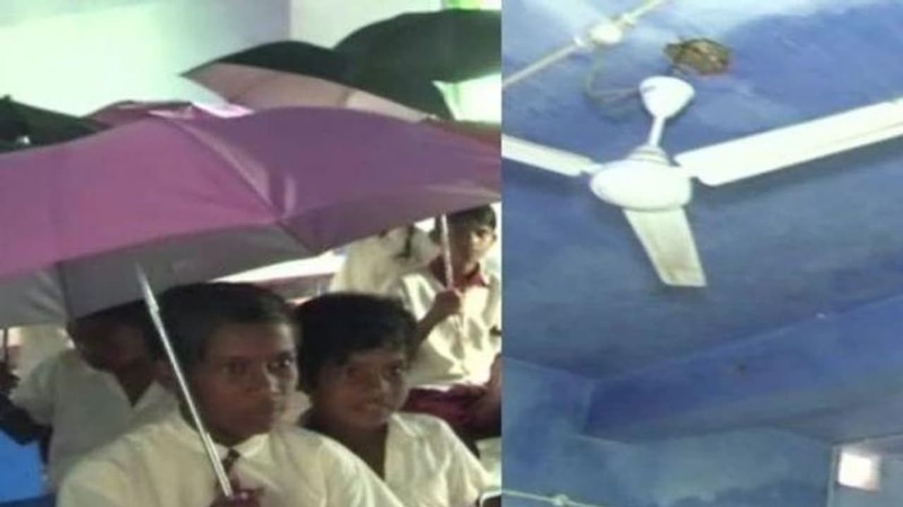 പൊട്ടിപ്പൊളിയുന്ന സ്കൂള്, ക്ലാസ്മുറിയില് കുടചൂടി നില്ക്കേണ്ടി വരുന്ന വിദ്യാര്ത്ഥികള്... പൊട്ടിപ്പൊളിയുന്ന സ്കൂള്, ക്ലാസ്മുറിയില് കുടചൂടി നില്ക്കേണ്ടി വരുന്ന വിദ്യാര്ത്ഥികള്...