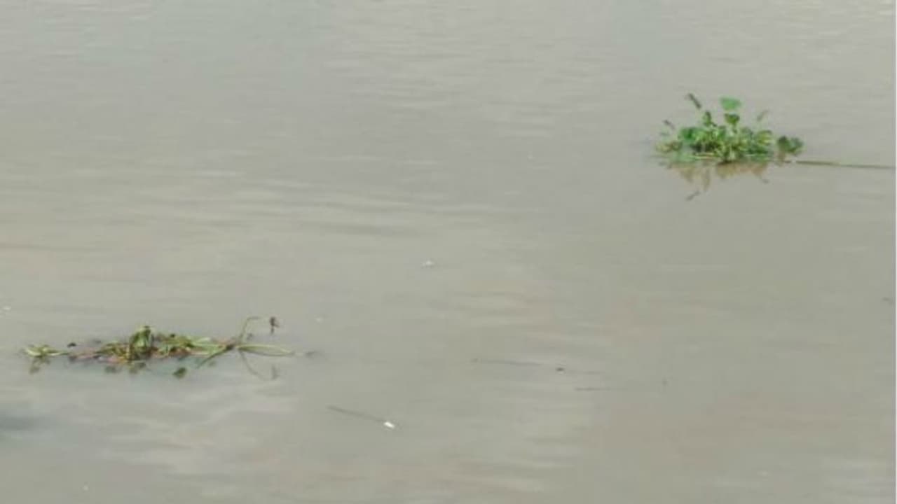 আত্মহত্যা করতে গঙ্গায় ঝাঁপ, আড়াই ঘণ্টা গঙ্গায় ভেসে অলৌকিক রক্ষা ছাত্রীর আত্মহত্যা করতে গঙ্গায় ঝাঁপ, আড়াই ঘণ্টা গঙ্গায় ভেসে অলৌকিক রক্ষা ছাত্রীর