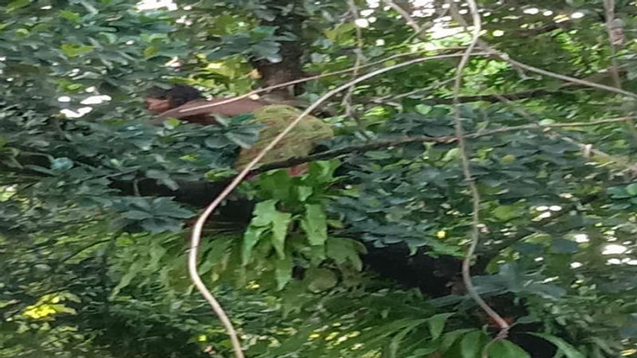 మహేష్ బాబు, జగన్ ల కోసమే...విజయవాడలో మహిళ హల్ చల్