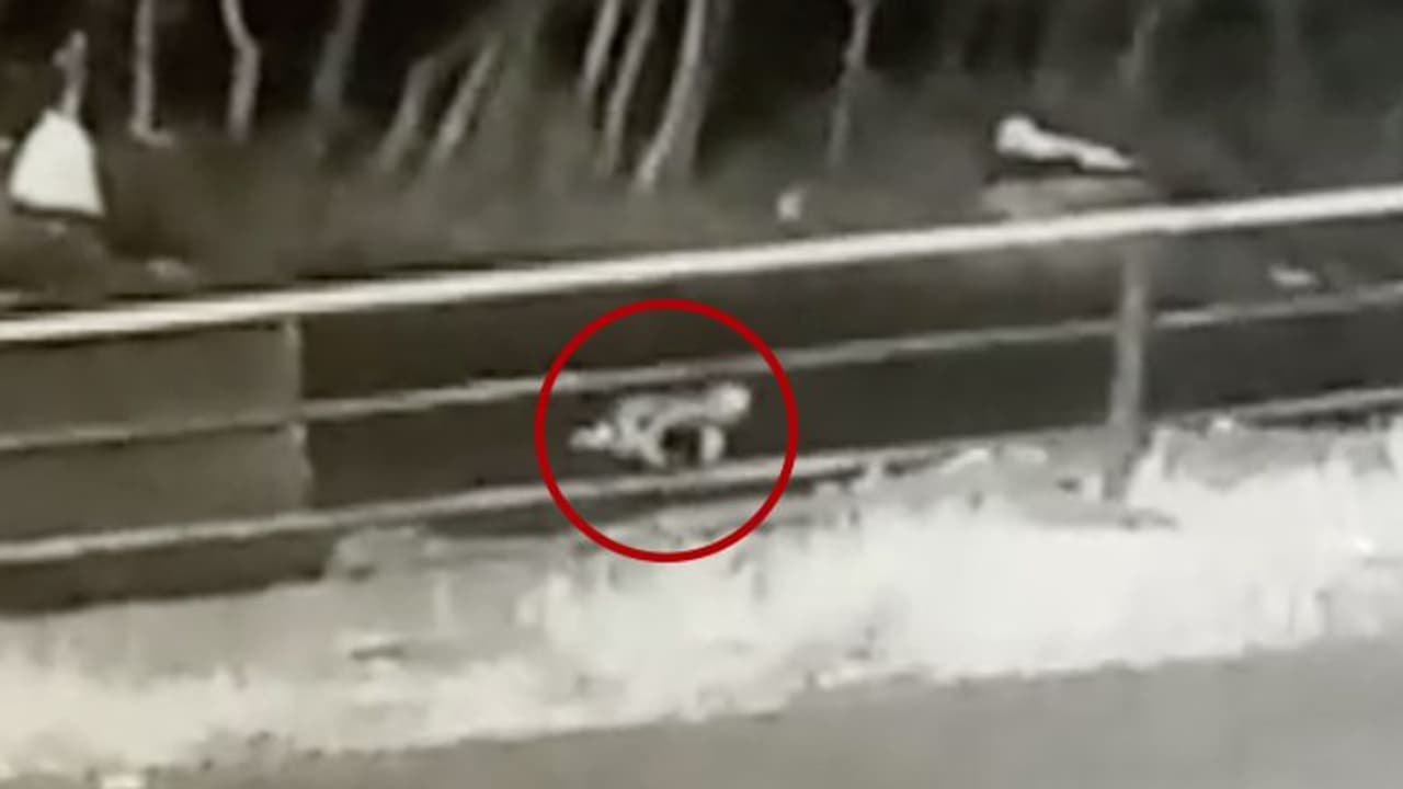 മൂന്നാറിൽ വാഹനത്തിൽ നിന്ന് കുഞ്ഞ് താഴെ വീണ സംഭവം: അച്ഛനും അമ്മക്കും എതിരെ കേസ് മൂന്നാറിൽ വാഹനത്തിൽ നിന്ന് കുഞ്ഞ് താഴെ വീണ സംഭവം: അച്ഛനും അമ്മക്കും എതിരെ കേസ്